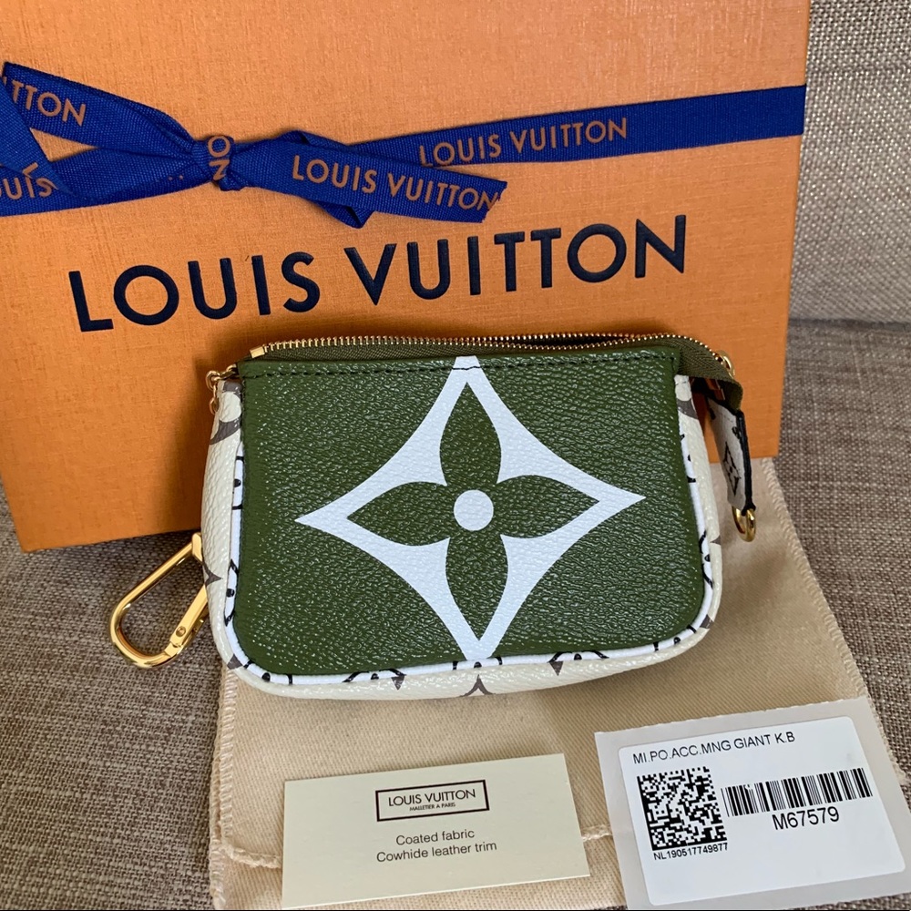 Louis Vuitton micro pochettte accessories